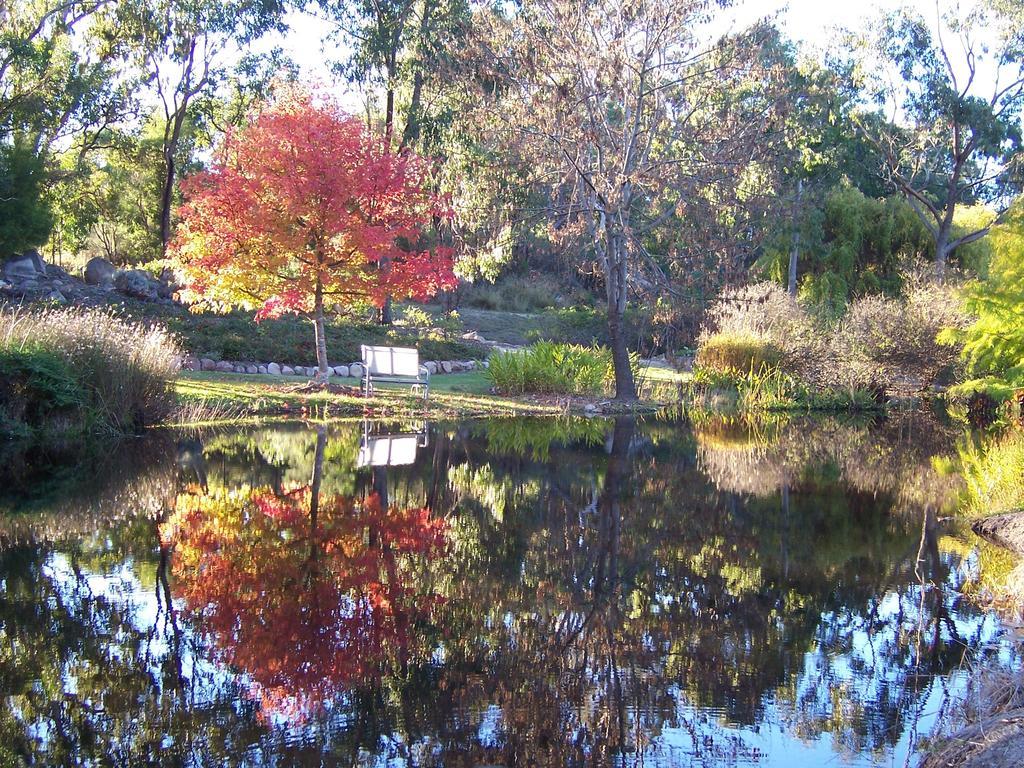 Granite Gardens Cottages & Lake Retreat Stanthorpe Exterior foto