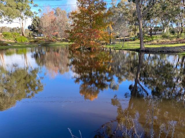 Granite Gardens Cottages & Lake Retreat Stanthorpe Exterior foto