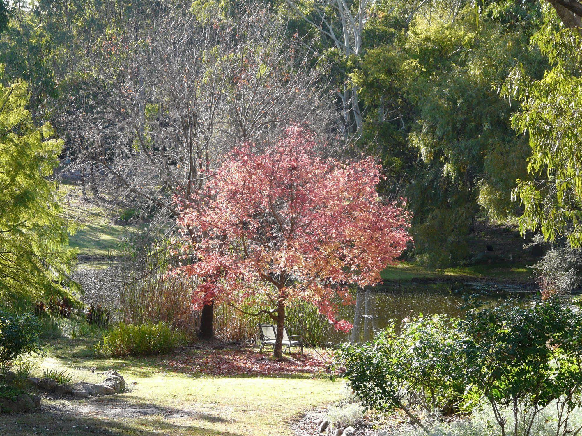 Granite Gardens Cottages & Lake Retreat Stanthorpe Exterior foto
